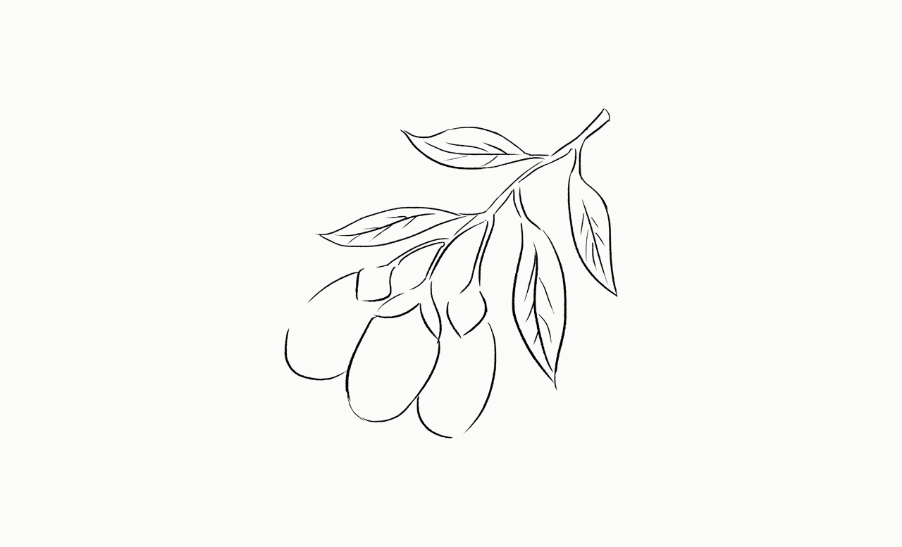 圖片關鍵詞
